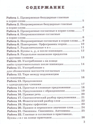 Русский язык 5 класс. Проверочные работы. ФГОС НОВЫЙ