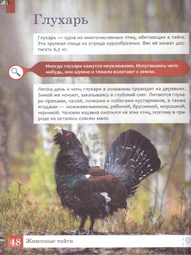 Животные: энциклопедия