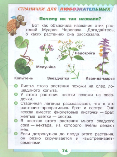 Окружающий мир 1 класс. Учебник в 2-х частях. Часть 2. УМК "Школа России" (ФП2022)