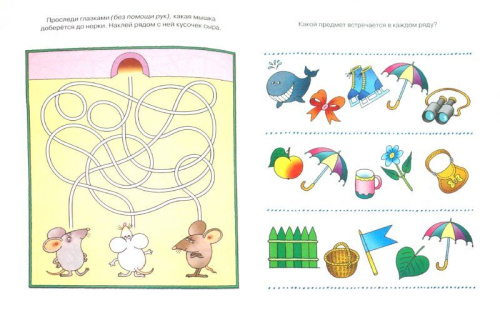 Развиваем внимание (5-6 лет) / Дошкольная мозаика