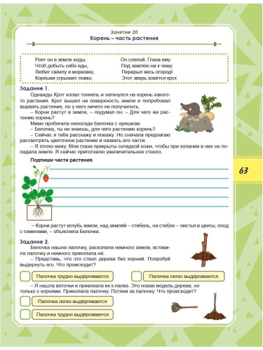 Набор из 10 шт Функциональная грамотность 2 класс. Тренажер для школьников