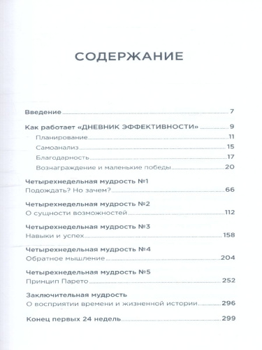 Дневник эффективности
