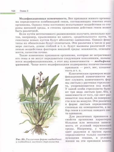 Общая Биология 10-11 класс. Учебник. Вертикаль. ФГОС