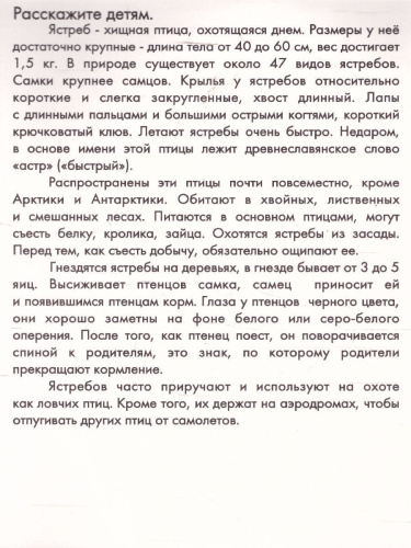 Дидактические карточки "Птицы наших лесов"