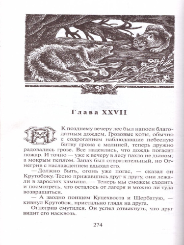 Коты-воители. Цикл "Воители". Бушующая стихия