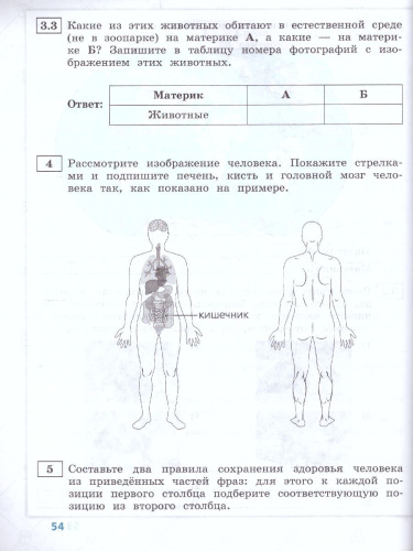 ВПР Окружающий мир 4 класс. 10 типовых вариантов