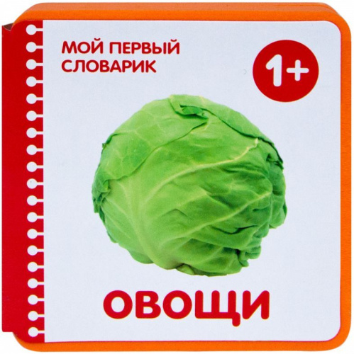 Мой первый словарик Овощи (EVA)
