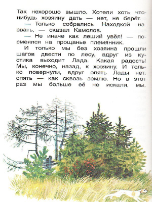 55623854-3
