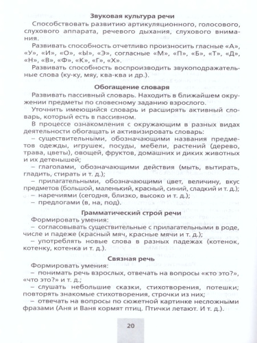 Парциальная общеобразовательная программа дошкольного образования "От звука к букве"