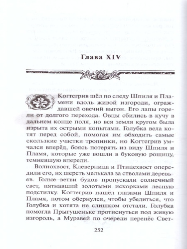 Тень Когтегрива. Возвращение
