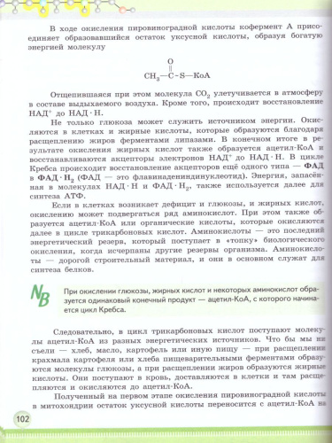 Биология 10 класс. Углублённый уровень. Учебное пособие. В 2-х частях. Часть 1