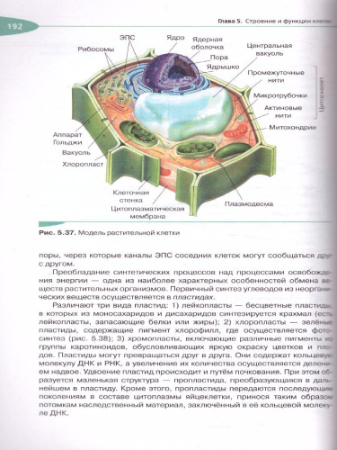 Биология 10 класс. Учебник. Углубленный уровень. Вертикаль. ФГОС