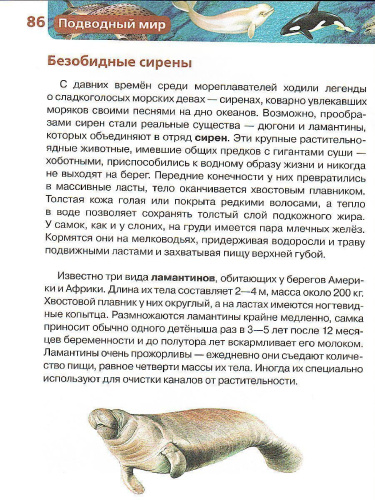 Подводный мир