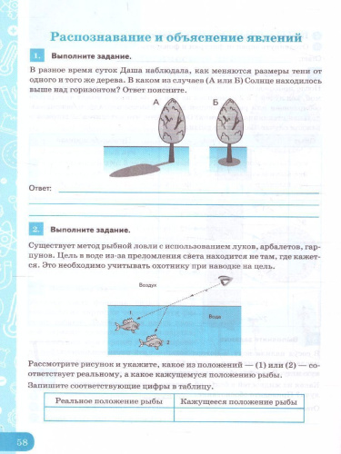 Физика 8 класс. Рабочая тетрадь к учебнику А.В. Перышкина. Формирование естественно-научной грамотности. ФГОС (к новому ФПУ)