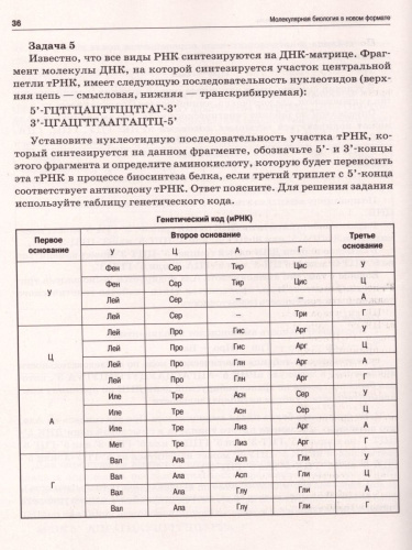 Биология. ЕГЭ: молекулярная биология в новом формате 10-11 класс. Тренировочная тетрадь