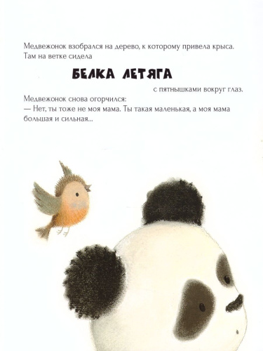 Малыш-панда потерялся