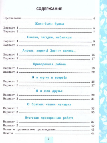 Литературное чтение 1 класс. Проверочные работы. К новому учебнику. УМК Климановой. ФГОС НОВЫЙ