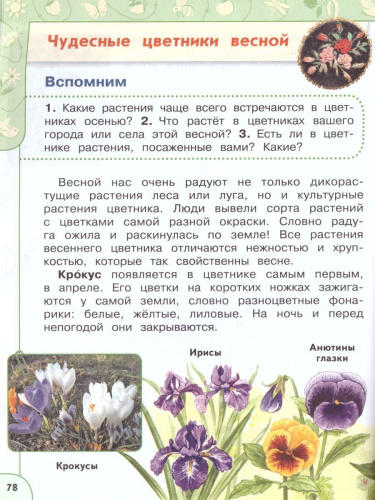 Окружающий мир 2 класс. Учебник в 2-х частях. Часть 2. ФГОС. УМК "Перспектива"