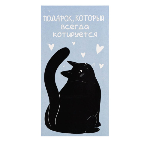 Конверт для денег «Подарок», кот, 16,5 * 8 см