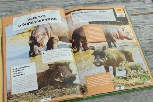 Животные нашей планеты /Энциклопедии с дополненной реальностью