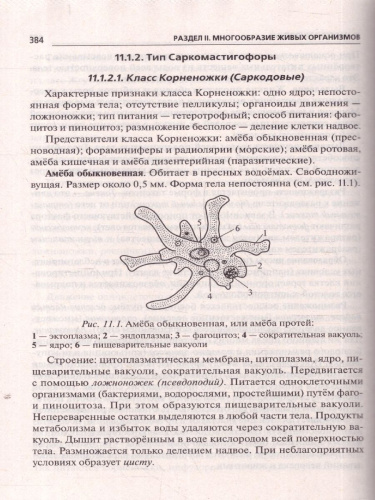 ЕГЭ и ОГЭ-2024. Биология 9-11 класс. Большой справочник