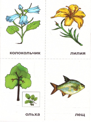 10 игр со звуками Л, Ль для познавательного, речевого и интеллектуального развития детей 4-10 лет