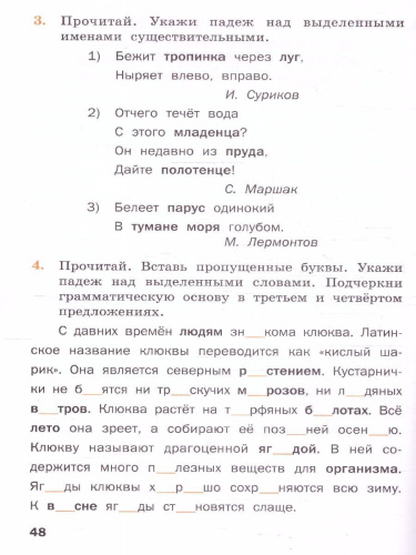 Русский язык 4 класс. Рабочая тетрадь