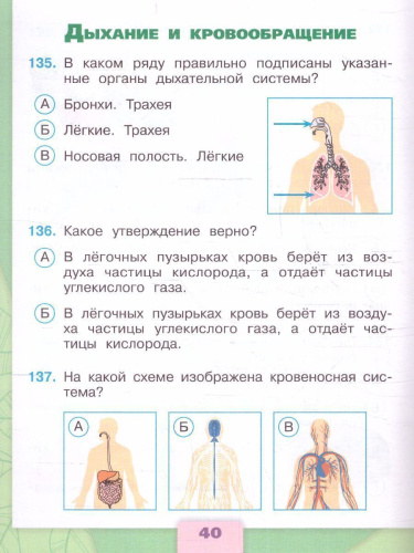 Окружающий мир 3 класс. Тесты. УМК "Школа России" (ФП2022)