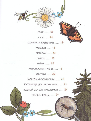 Насекомы /МояПервКнига
