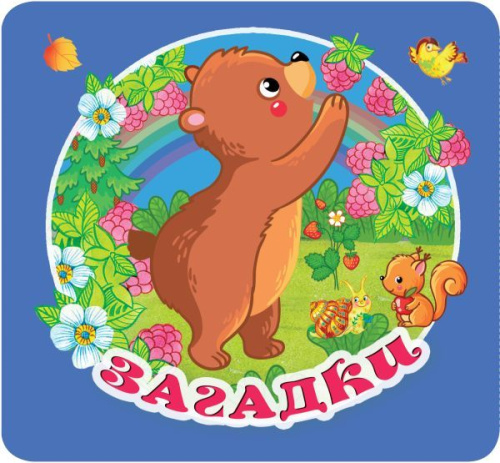 Книжка-раскладушка Загадки