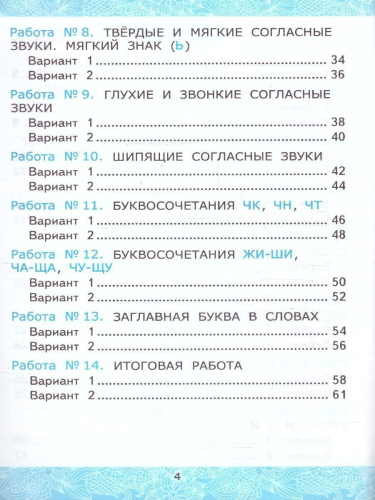 Русский язык 1 класс. Зачетные работы к учебнику В.Канакиной