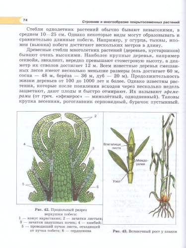 Биология 5 класс. Живые организмы. Растения. Учебник