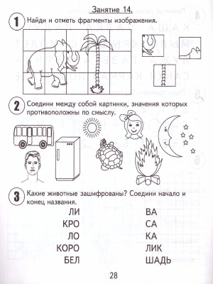 55592810-2