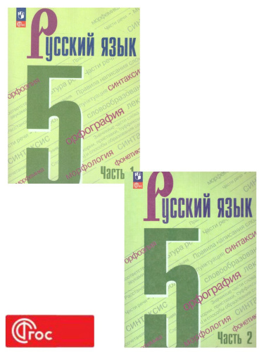 Русский язык 5 класс. Учебник в 2-х частях. Часть 2 (ФП2022)
