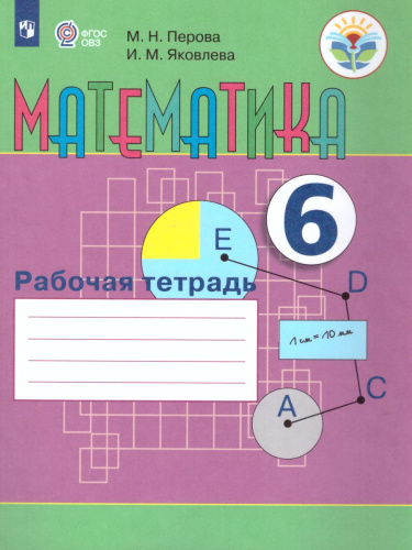 Математика 6 класс. Рабочая тетрадь. Для специальных (коррекционных) образовательных учреждений VIII вида