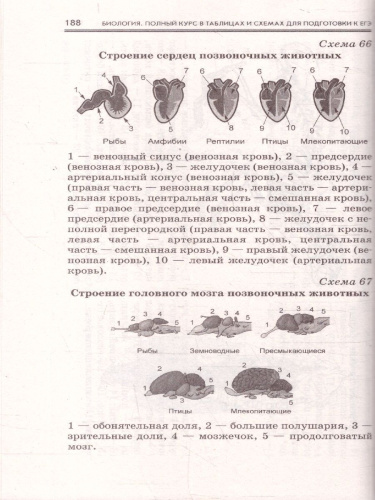Биология ЕГЭ 10-11 классы. Полный курс в таблицах и схемах