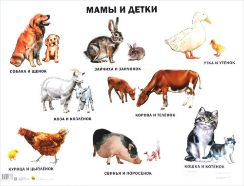 Плакат. Мамы и детки