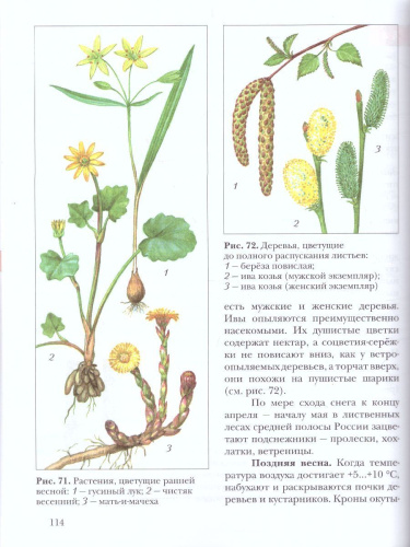 Экология растений 6 класс. Учебник