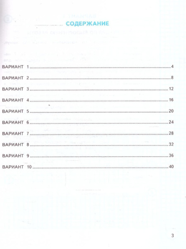 ВПР Математика 2 класс. Практикум. 10 вариантов. ФГОС Новый