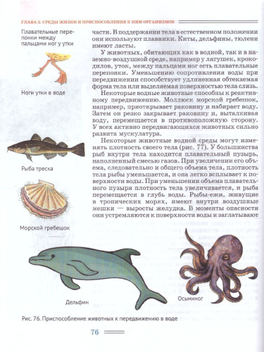 Биология 5 класс. Организмы