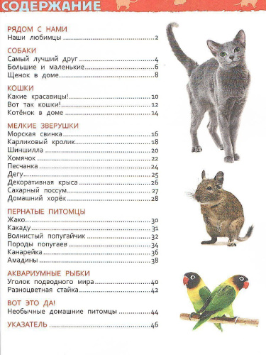 Домашние питомцы. Энциклопедия для детского сада