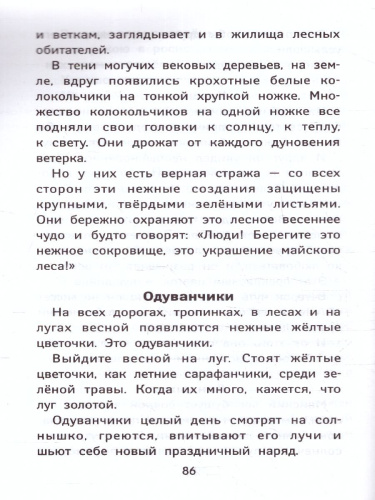Лучшие диктанты и грамматические задания по русскому языку повышенной сложности. 4 класс