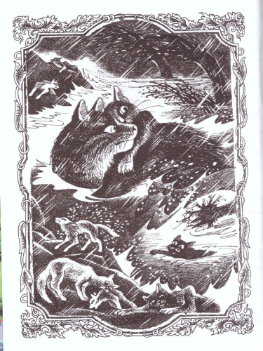 Коты-воители. Цикл "Гроза Ежевичной звезды". Бедствие