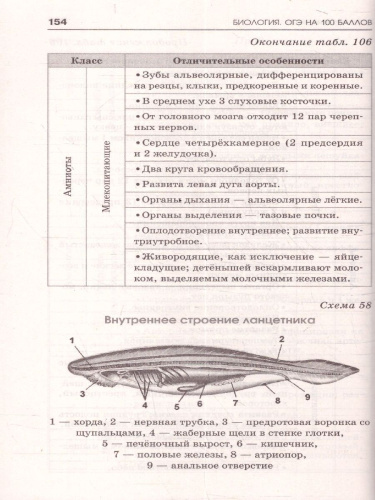 Биология ОГЭ 9 класс. Справочник. Теория и практика. ОГЭ на 100 баллов