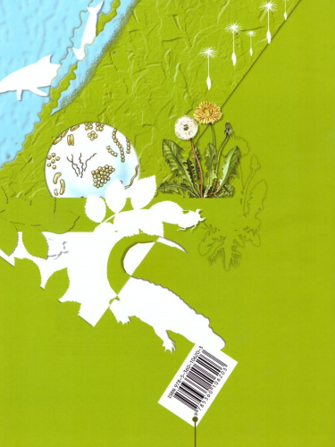 Биология 5-6 класс. Рабочая тетрадь №2. ФГОС