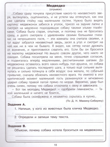 Литературное чтение и Русский язык 4 класс. Комплексный тренажер