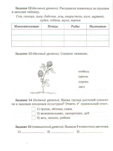 ВПР Русский язык Литературное чтение Математика Окружающий мир 2 класс. Контрольно-измерительные материалы. Стартовый, промежуточный и итоговый контроль зн