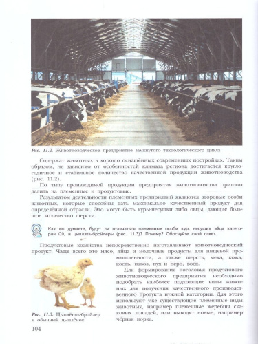 Труд (технология) 7-8 классы. Растениеводство и животноводство. Учебное пособие