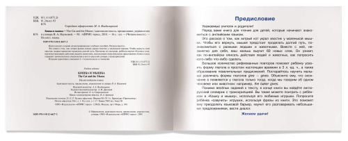 Читаем вместе Кошка и мышка (на английском языке)