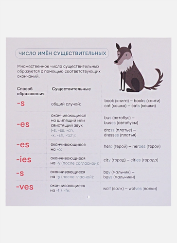 Все правила английского языка для начинающих под одной обложкой. Плакат-самоучитель